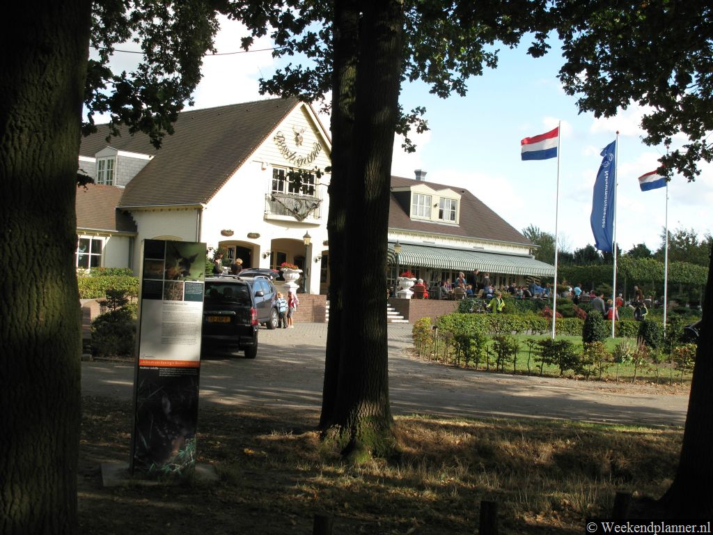 Een mooi gedeelte van de Drunense Duinen ligt bij restaurant en brasserie Bosch en Duin. Adres: Landgoed Bosch en Duin, Oude Bosschebaan 1, Udenhout.  Tips: De Loonse en Drunense Duinen bij Udenhout.